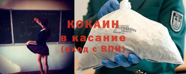 ПСИЛОЦИБИНОВЫЕ ГРИБЫ Арсеньев