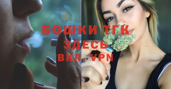 ПСИЛОЦИБИНОВЫЕ ГРИБЫ Арсеньев
