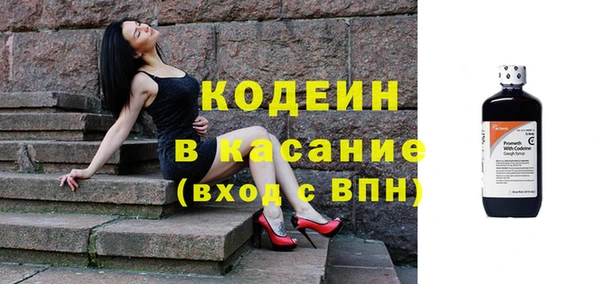 ПСИЛОЦИБИНОВЫЕ ГРИБЫ Арсеньев