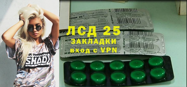 ПСИЛОЦИБИНОВЫЕ ГРИБЫ Арсеньев