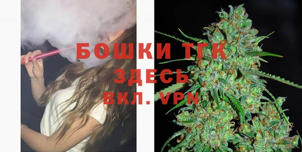 ПСИЛОЦИБИНОВЫЕ ГРИБЫ Арсеньев