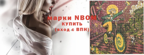 ПСИЛОЦИБИНОВЫЕ ГРИБЫ Арсеньев
