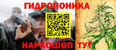 дурь Можга