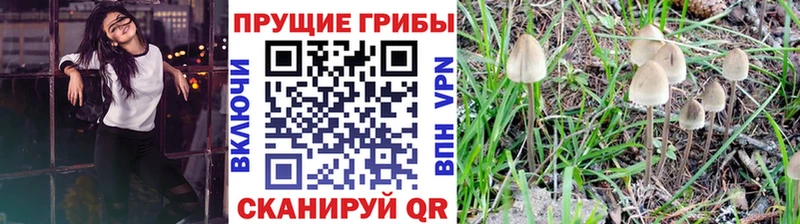 mega как зайти  Нарьян-Мар  Галлюциногенные грибы Magic Shrooms  цена  
