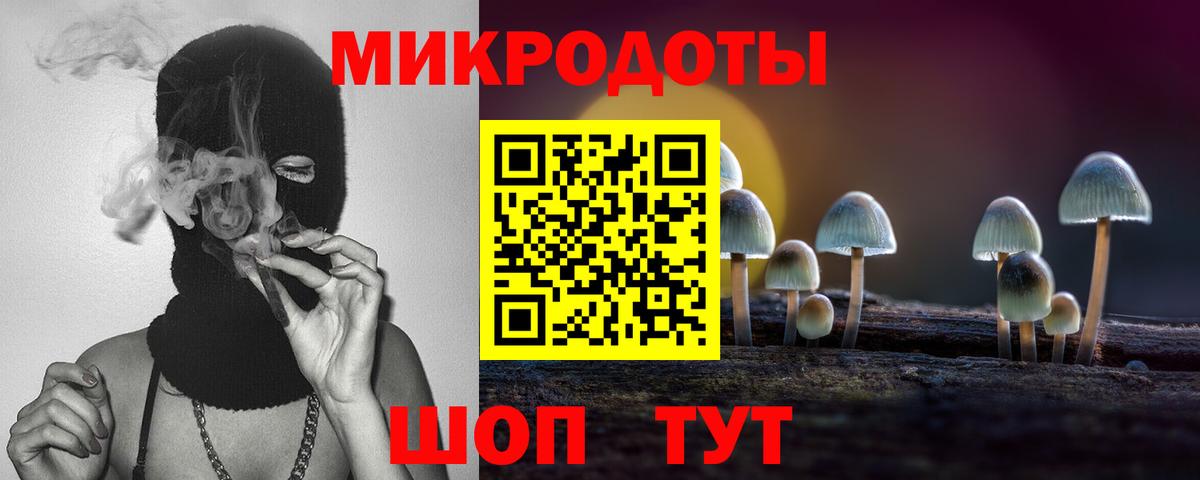 Галлюциногенные грибы прущие грибы Нарьян-Мар